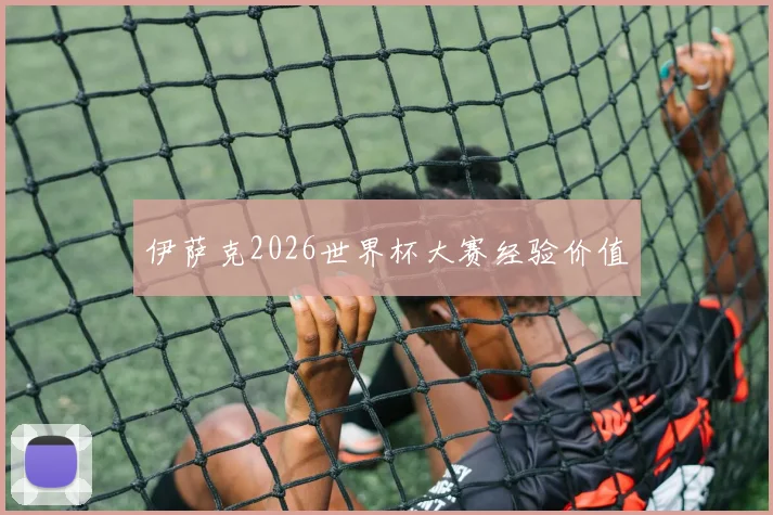 伊萨克2026世界杯大赛经验价值