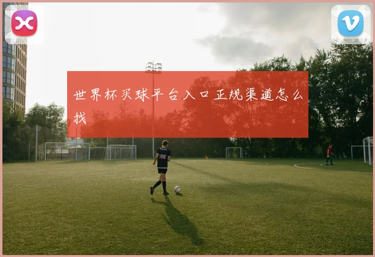 世界杯买球平台入口正规渠道怎么找