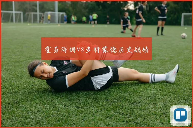 霍芬海姆vs多特蒙德历史战绩