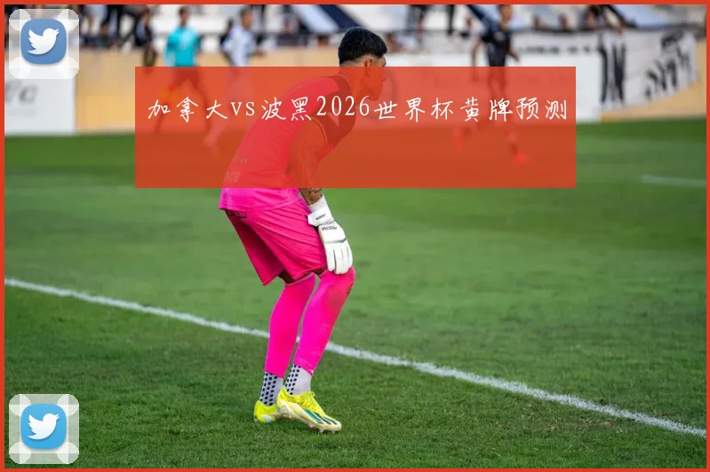 加拿大vs波黑2026世界杯黄牌预测