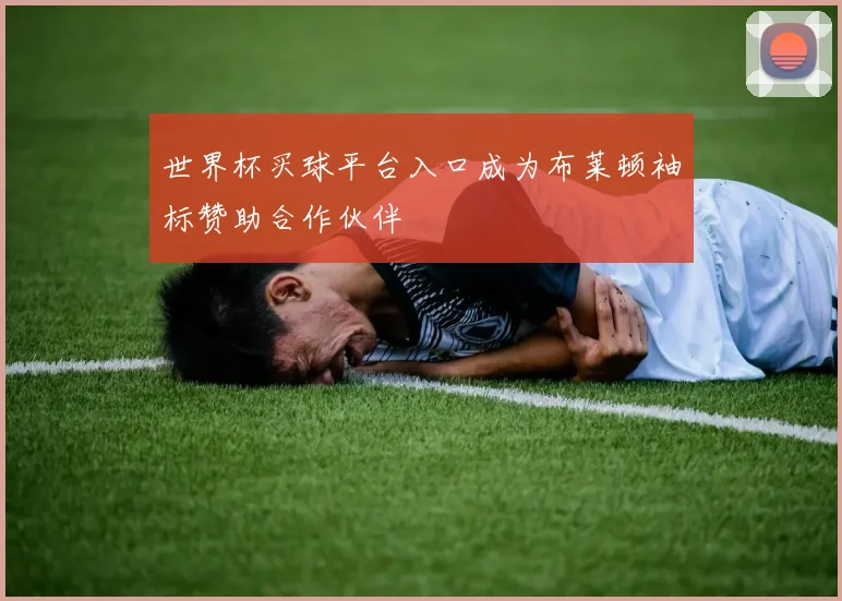 世界杯买球平台入口成为布莱顿袖标赞助合作伙伴