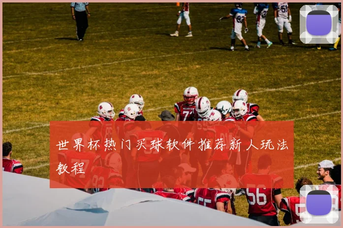 世界杯热门买球软件推荐新人玩法教程