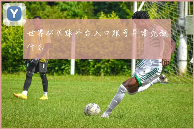 世界杯买球平台入口账号异常先做什么